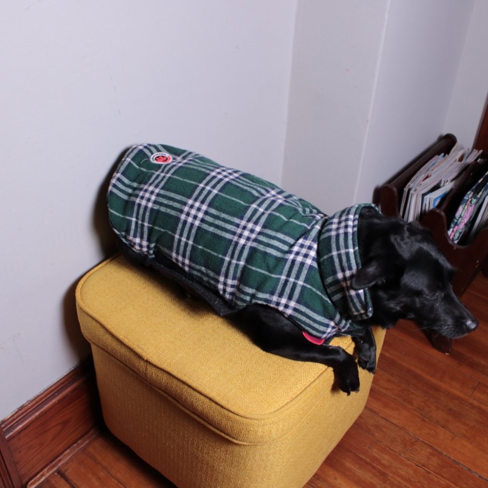 Green Flannel Dog Coat XL Hefty Hounds